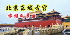 jj操女生视频中国北京-东城古宫旅游风景区